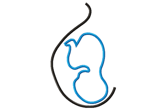 Pregnancy Applique: Honest Embroidery Designer Review