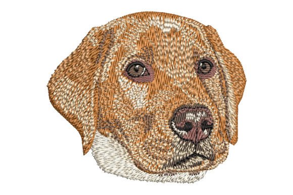 Red Fox Labrador Retriever Puppy – A Seasonal Embroidery Review